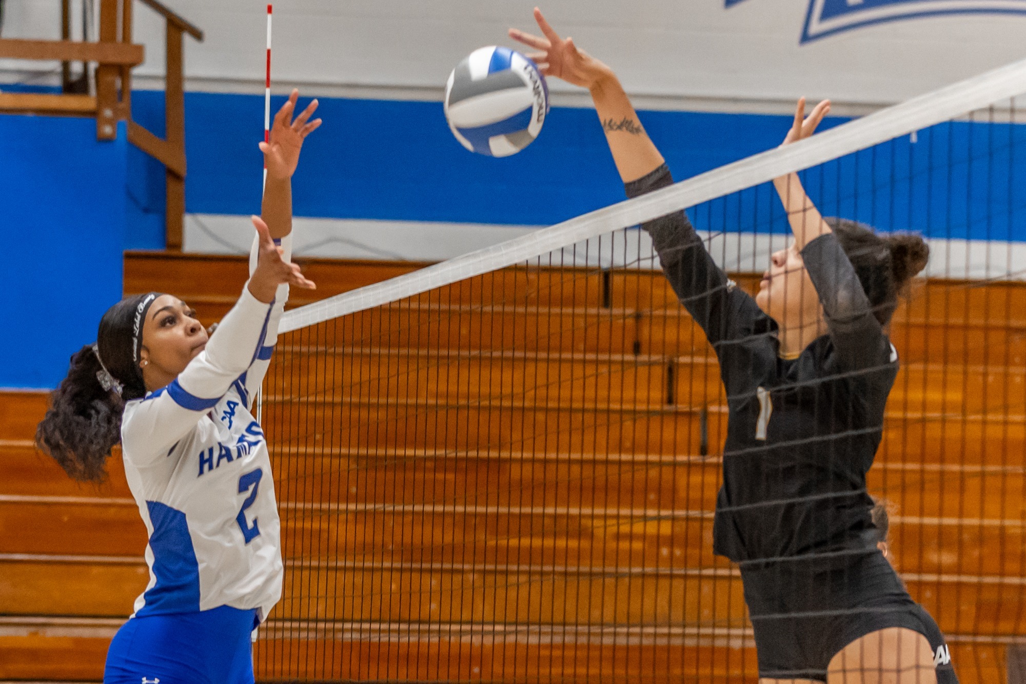 Cortni Adams Volleyball Hampton University Athletics