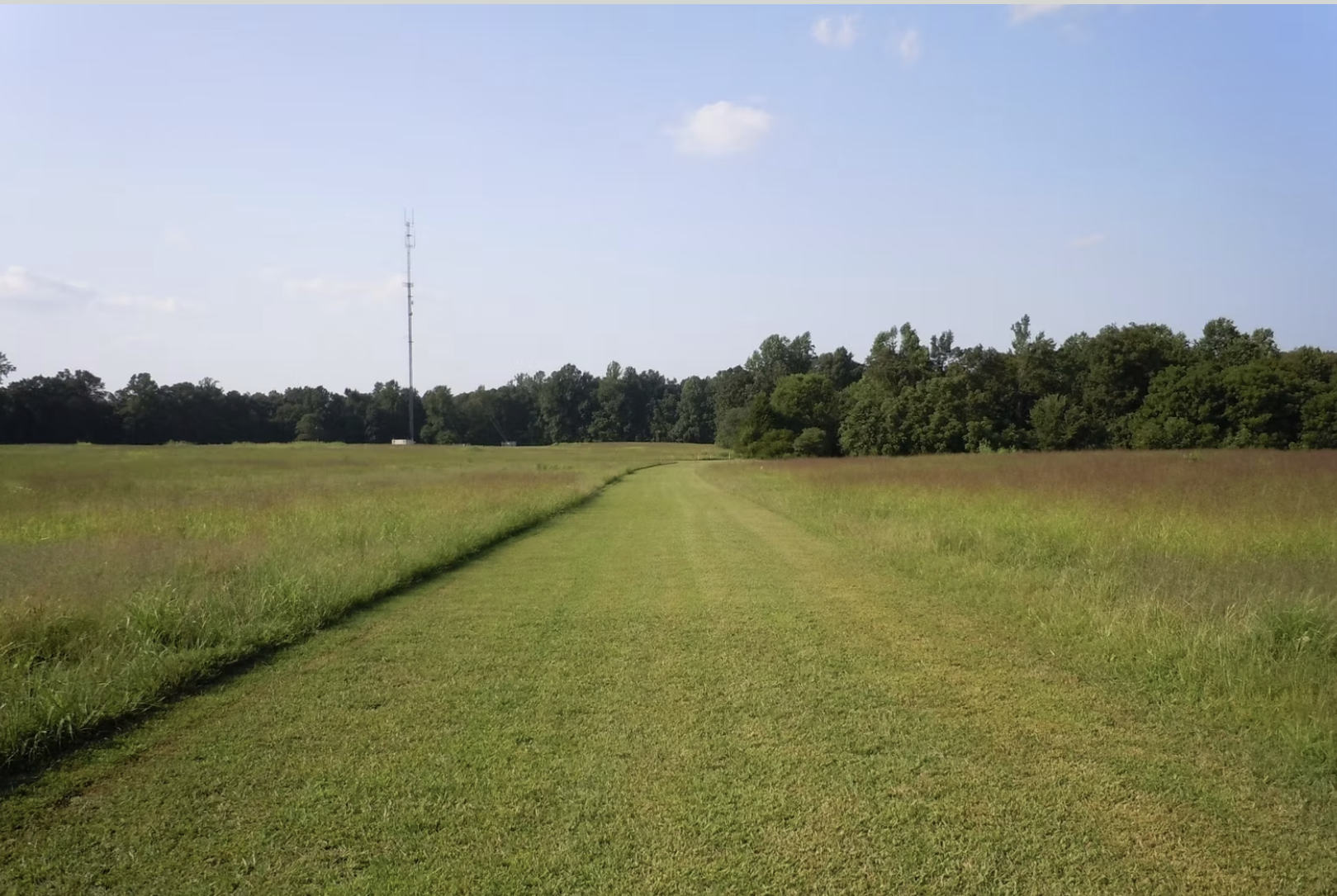 Pole Green Park - Cross Country