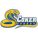 Opponent Logo