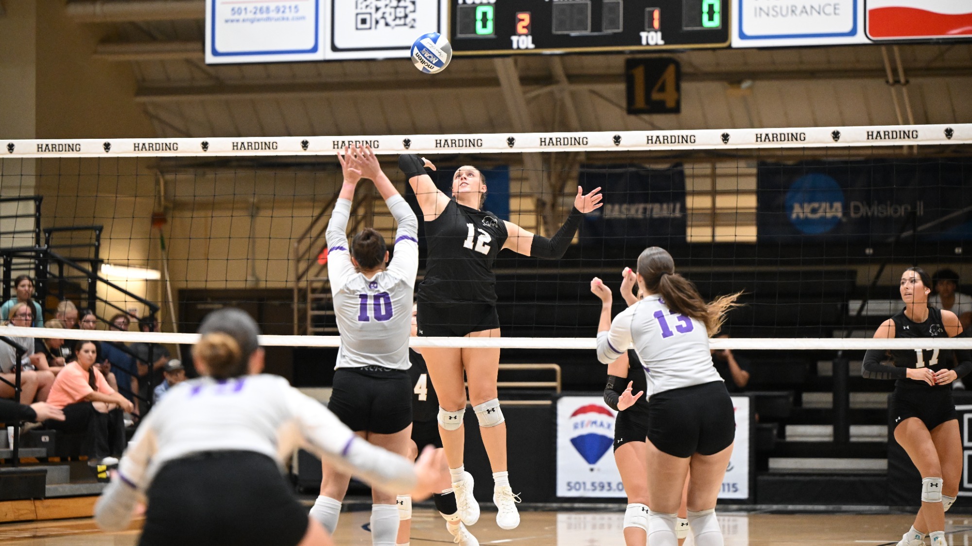 2025-105.03 VB vs Trevecca Nazarene - Rauly Eason