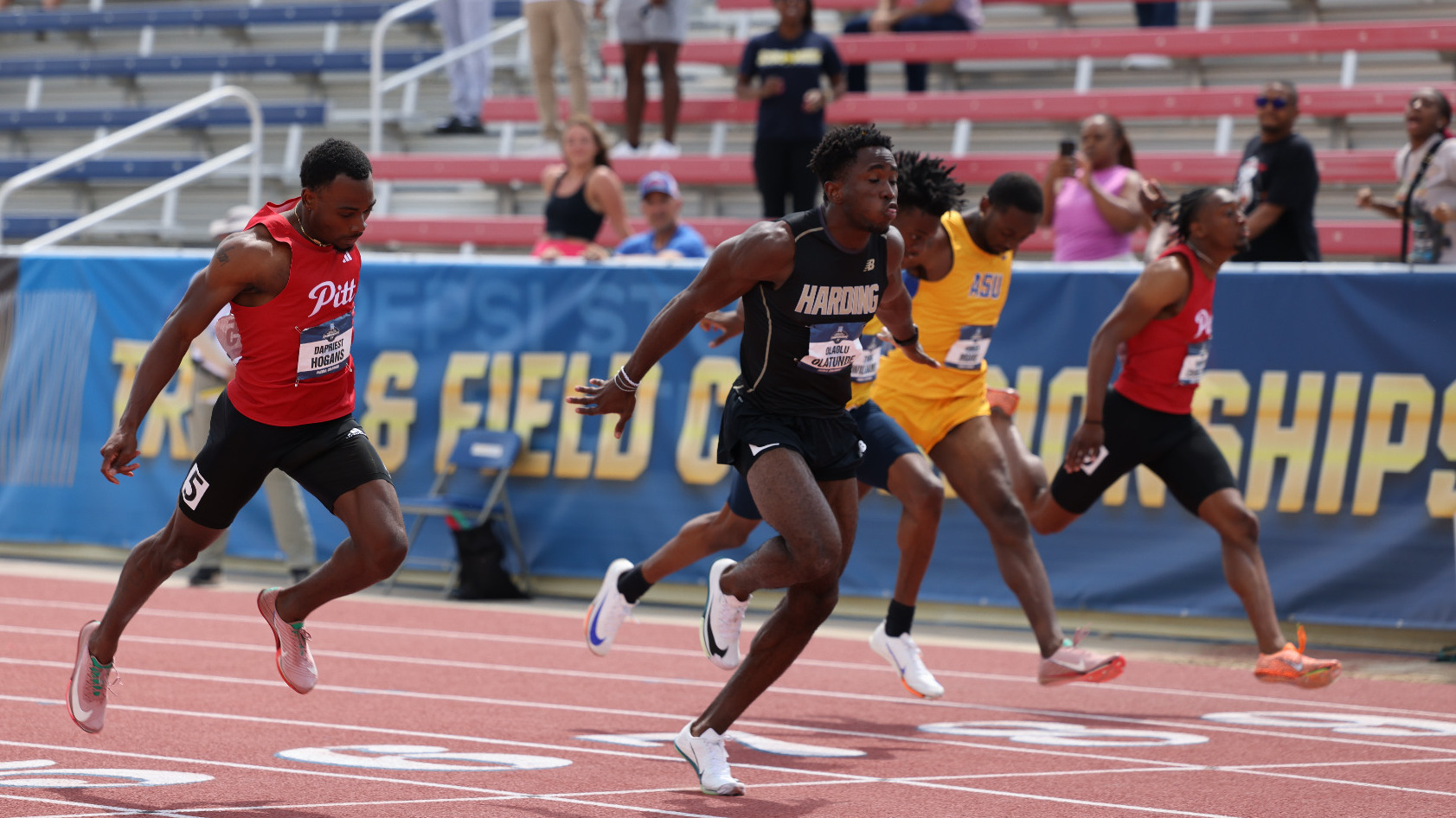 2025 Olaolu Olatunde