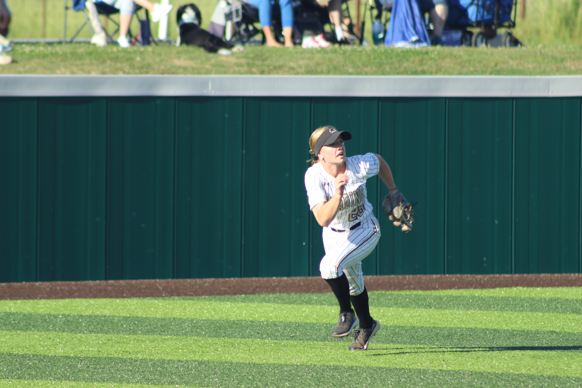 2025 Softball vs. SAU - NCAA Tournament