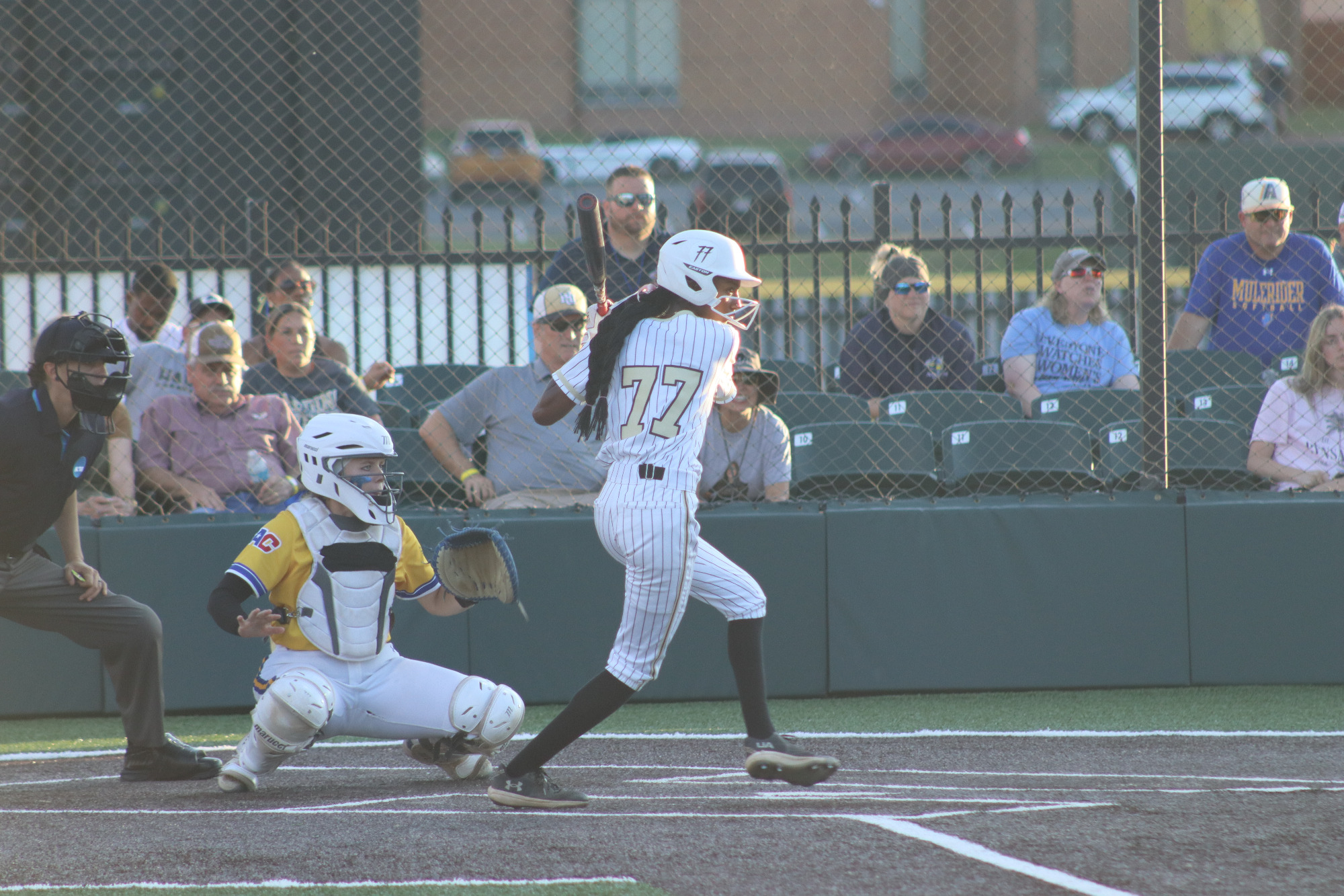 2025 Softball vs. SAU - NCAA Tournament