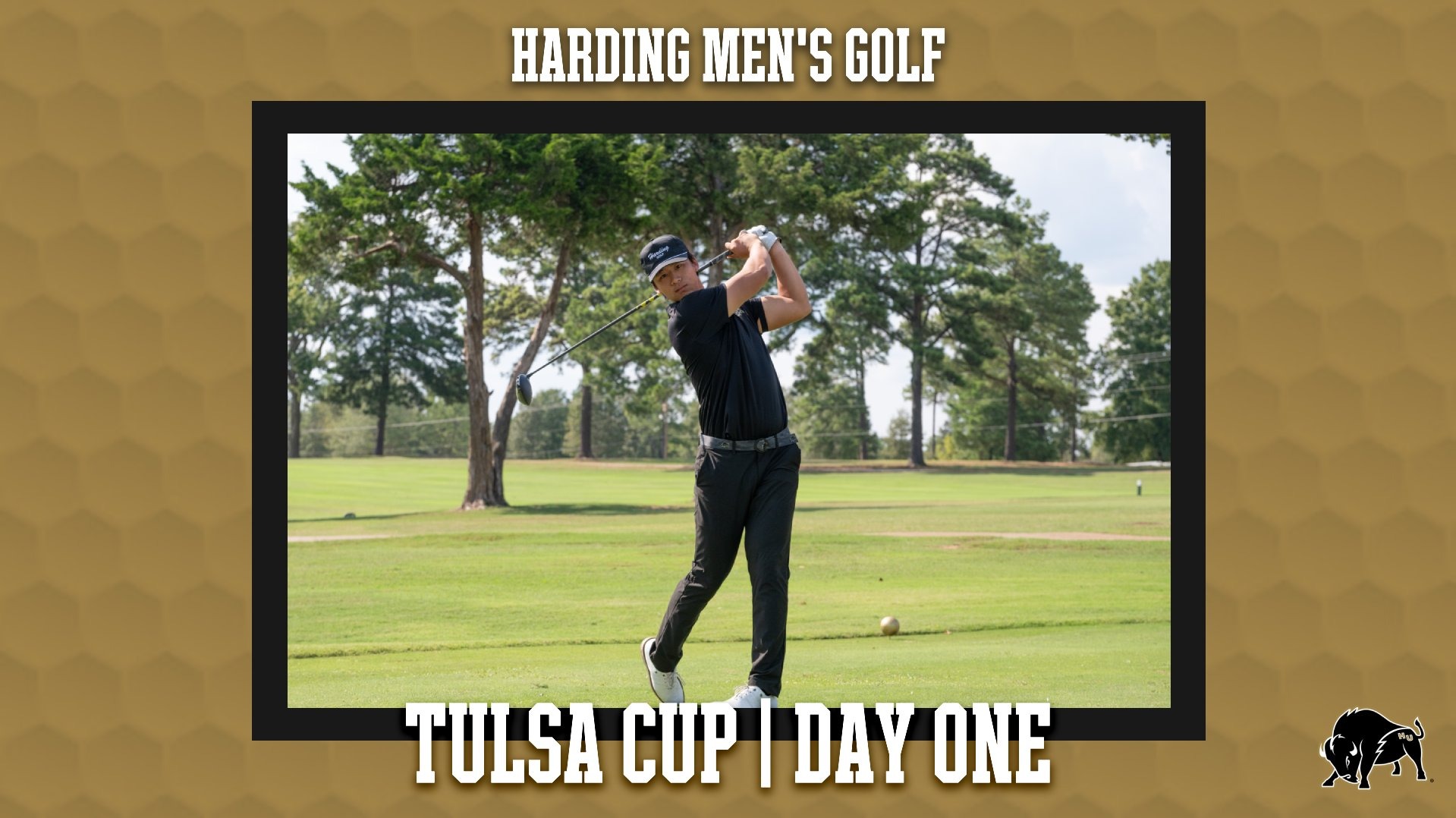 Harding Men's Golf
