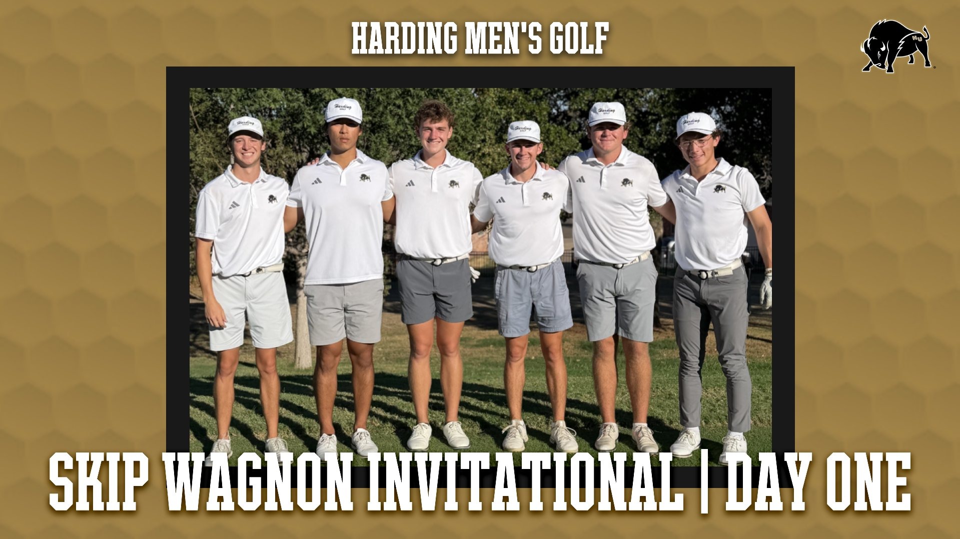 Harding Men's Golf