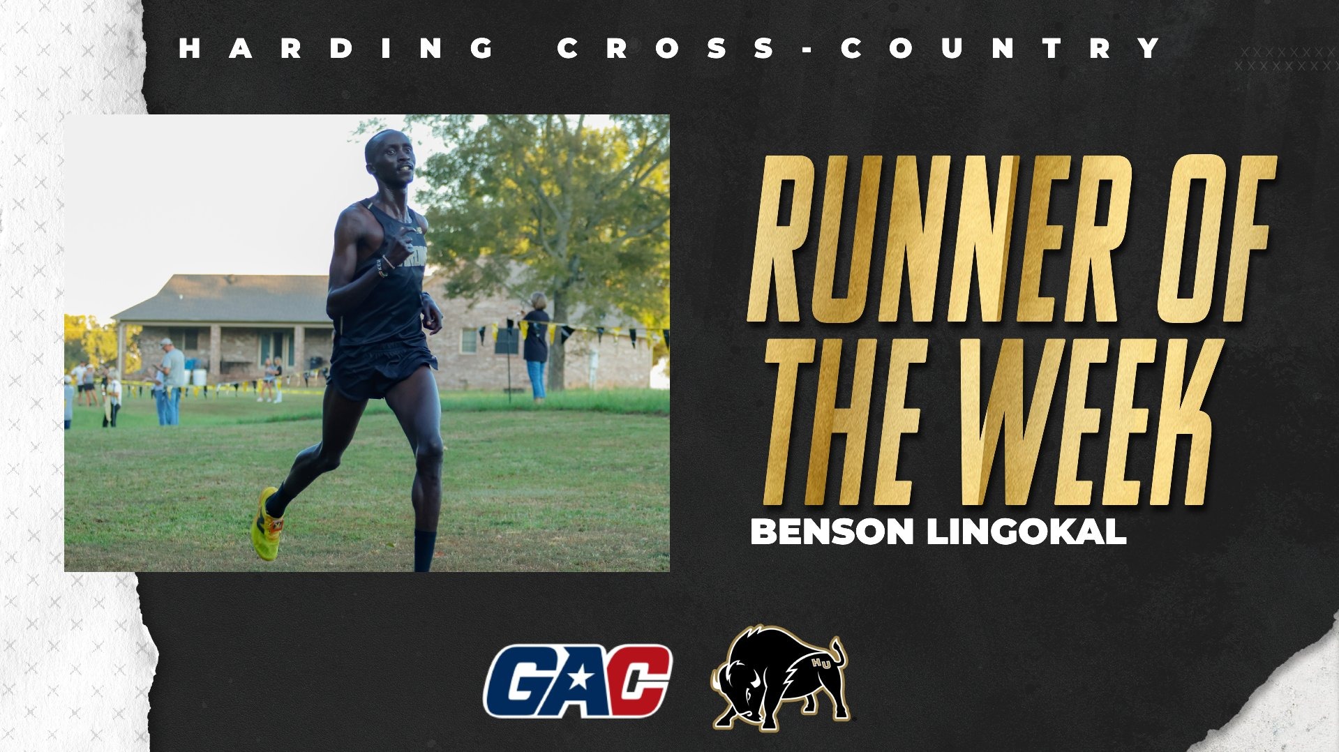Harding Men's Cross-Country