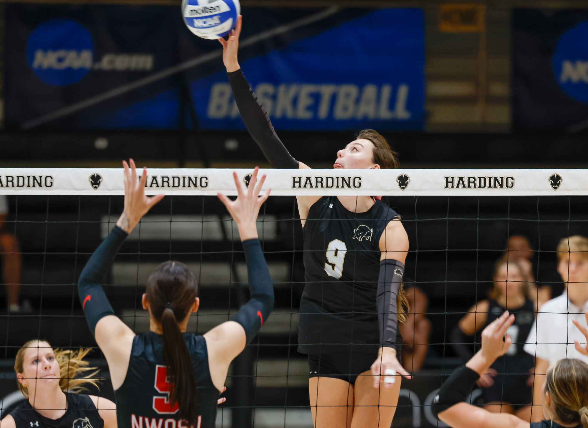 2026 Volleyball vs. Northwestern Okla.