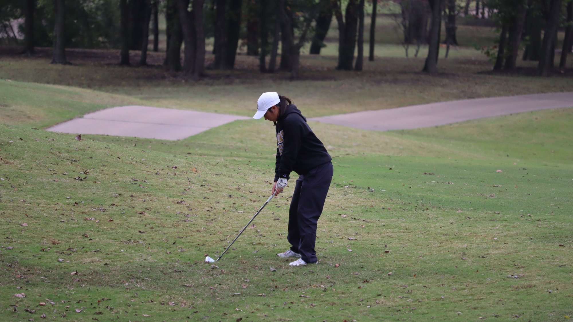 Harding women's golf