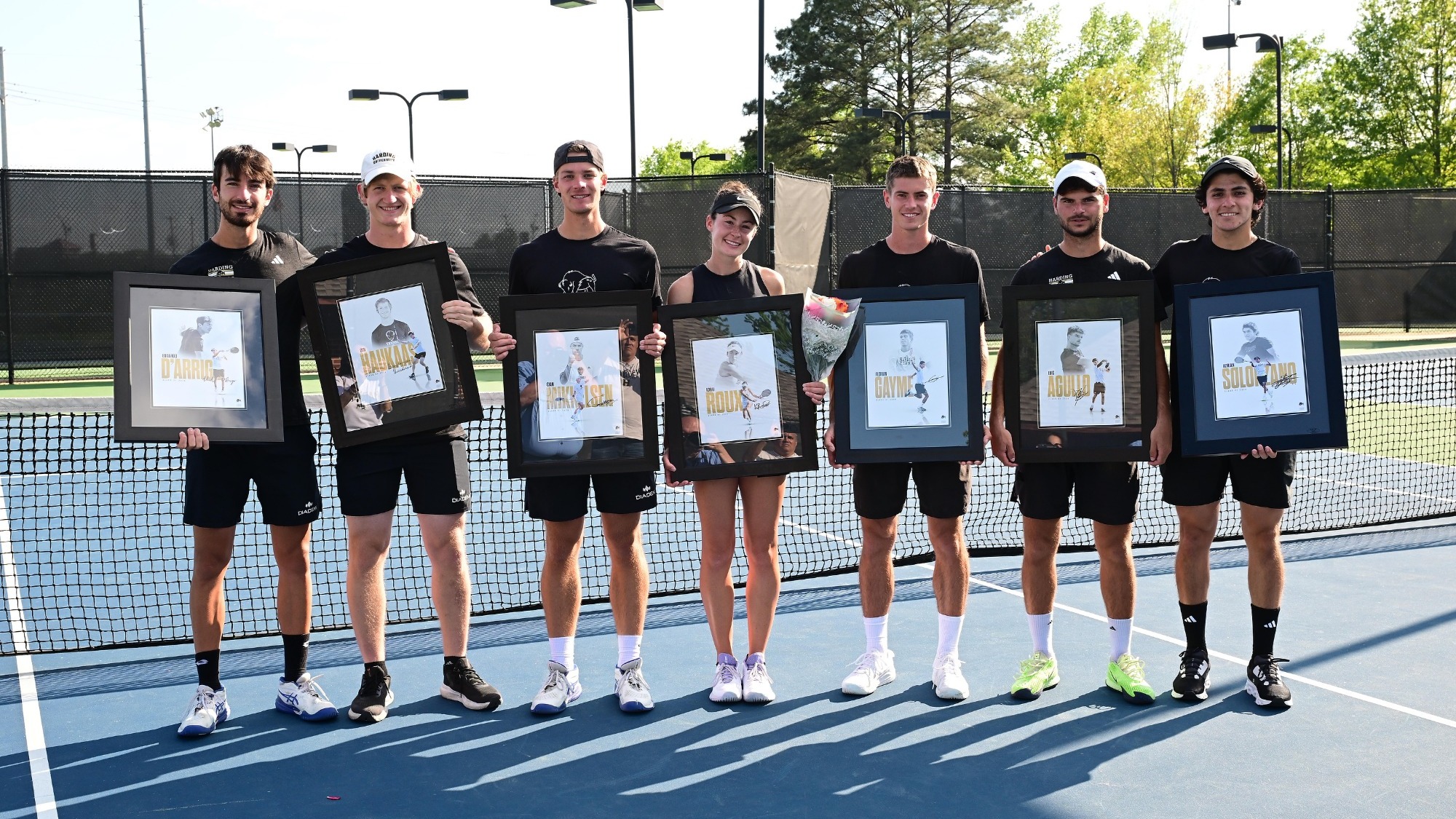Harding men's tennis