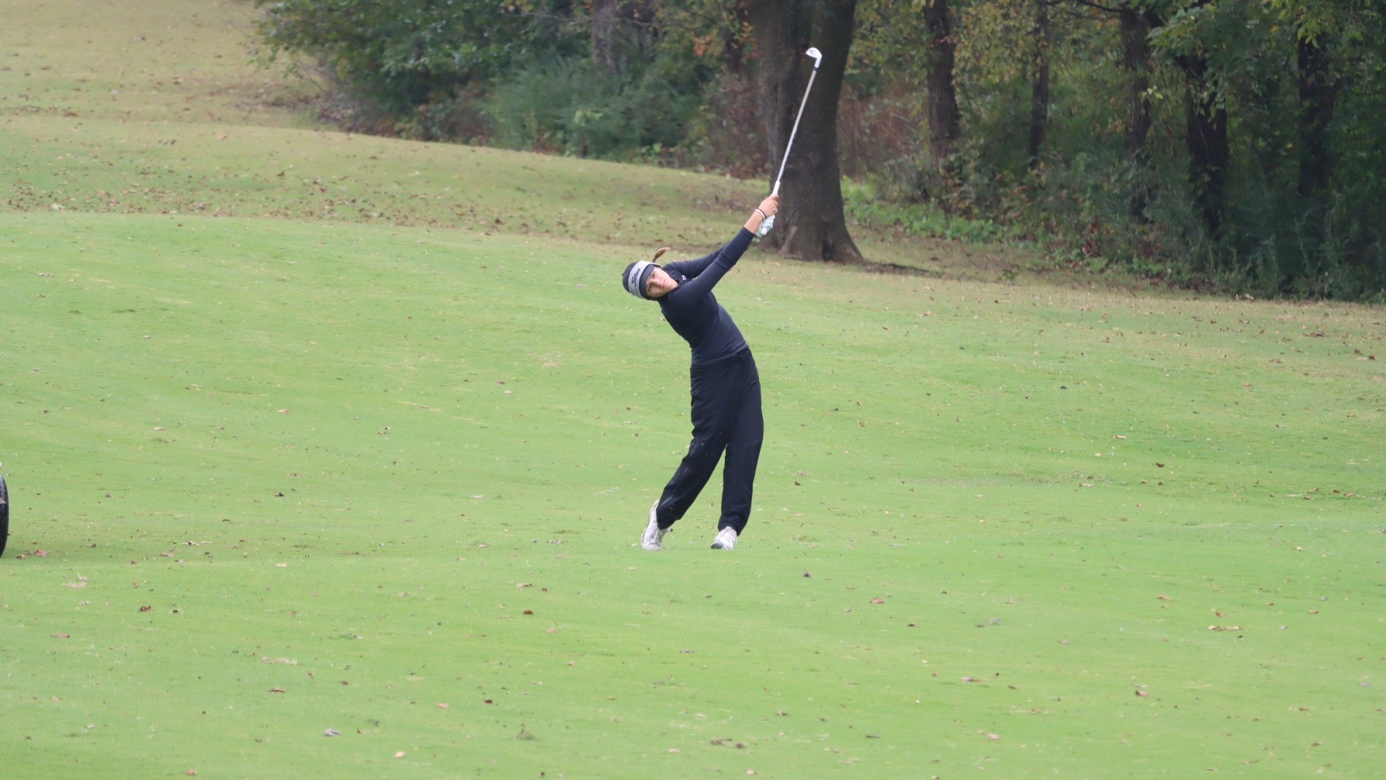 Harding women's golf