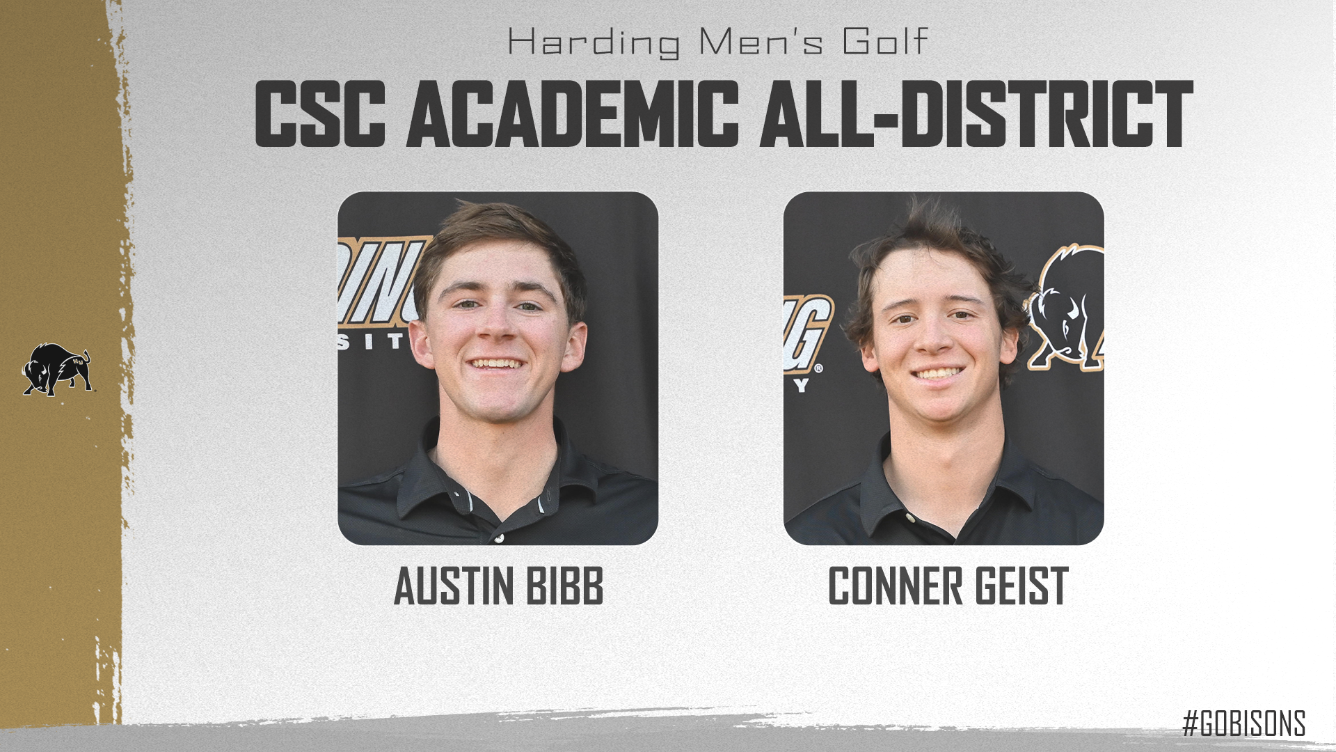 Harding Men's Golf