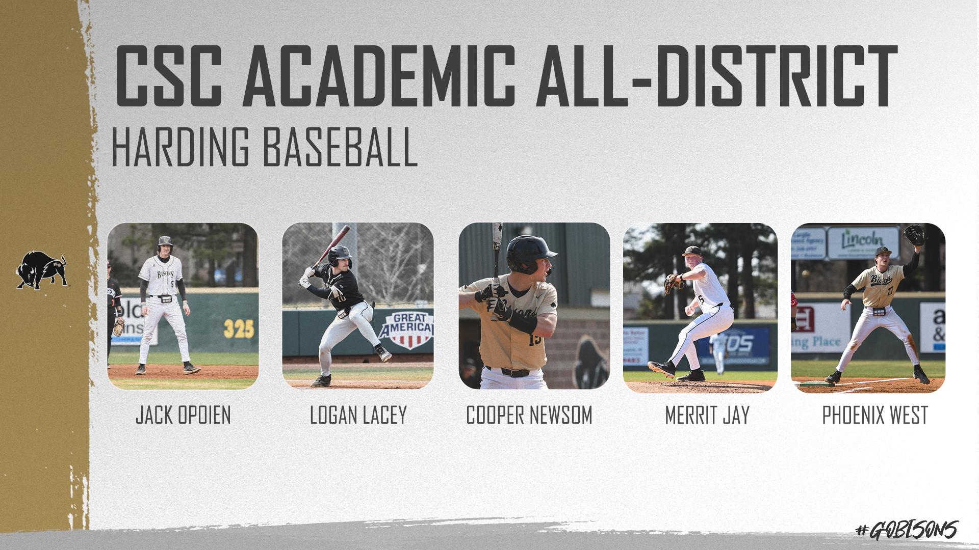 Harding Baseball