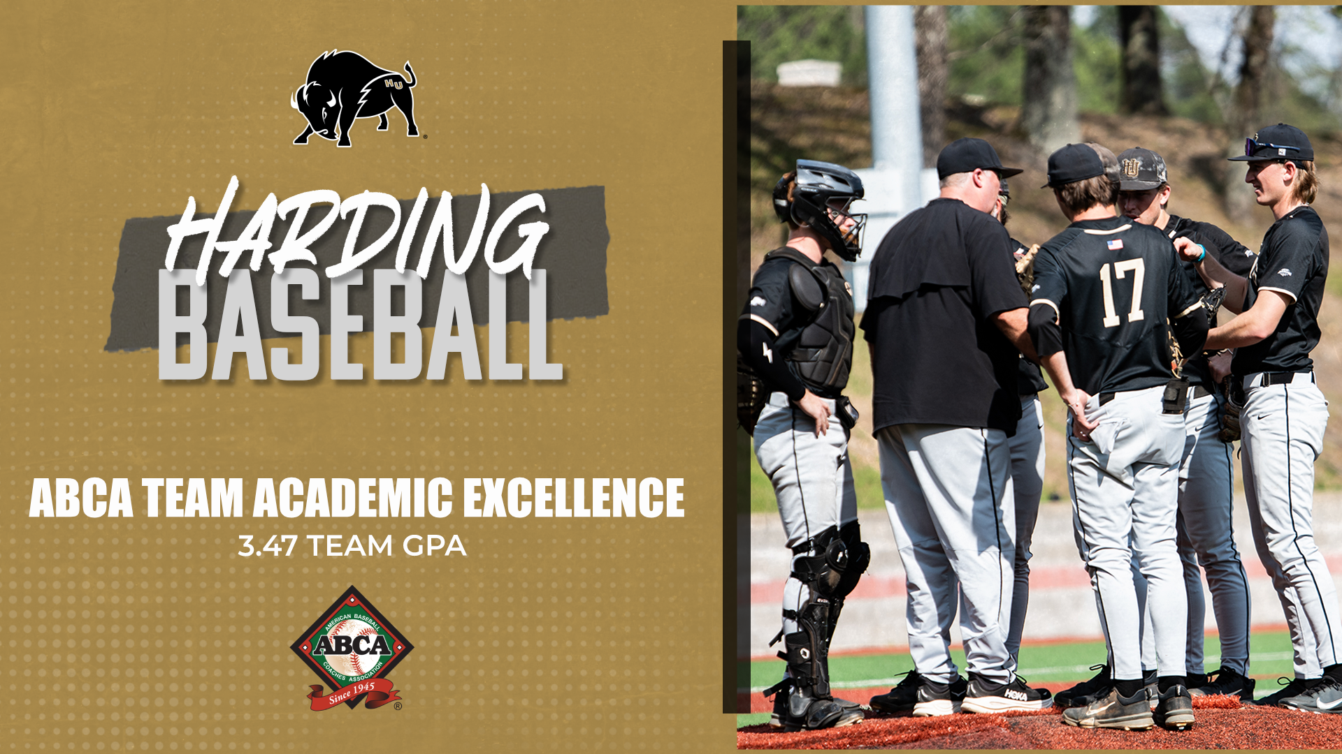 Harding baseball