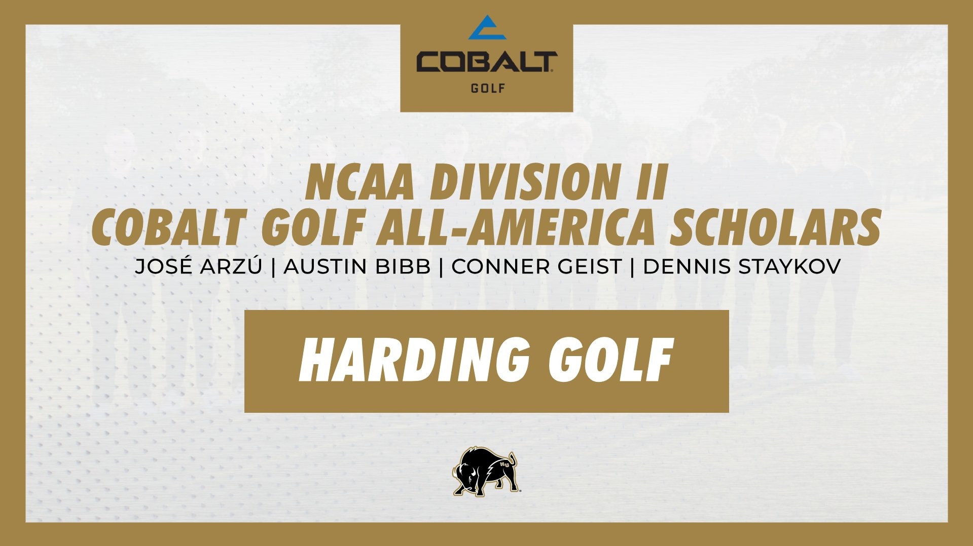 HU Men's Golf