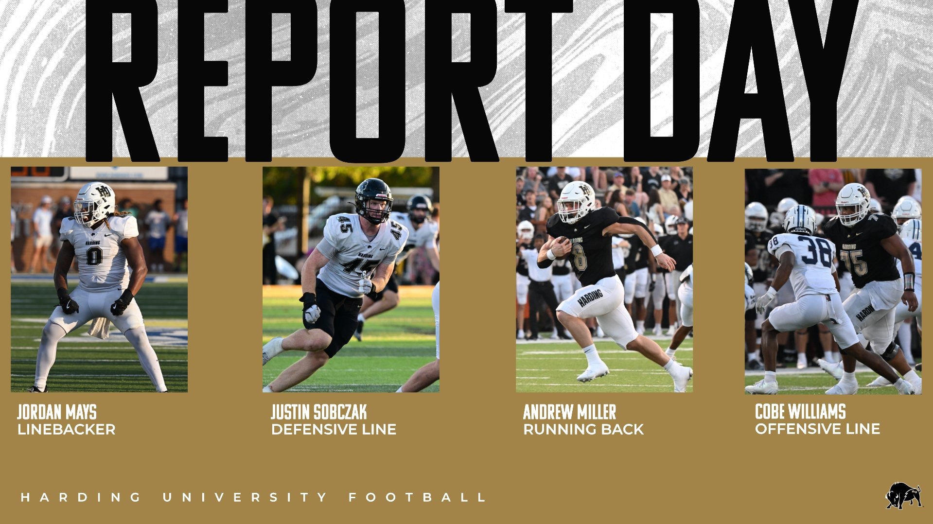 Harding Football