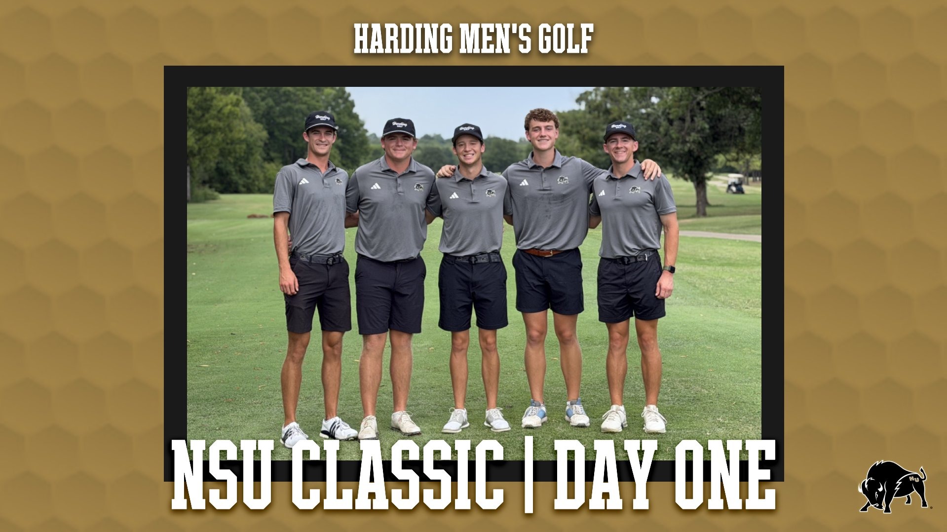 Harding Men's Golf