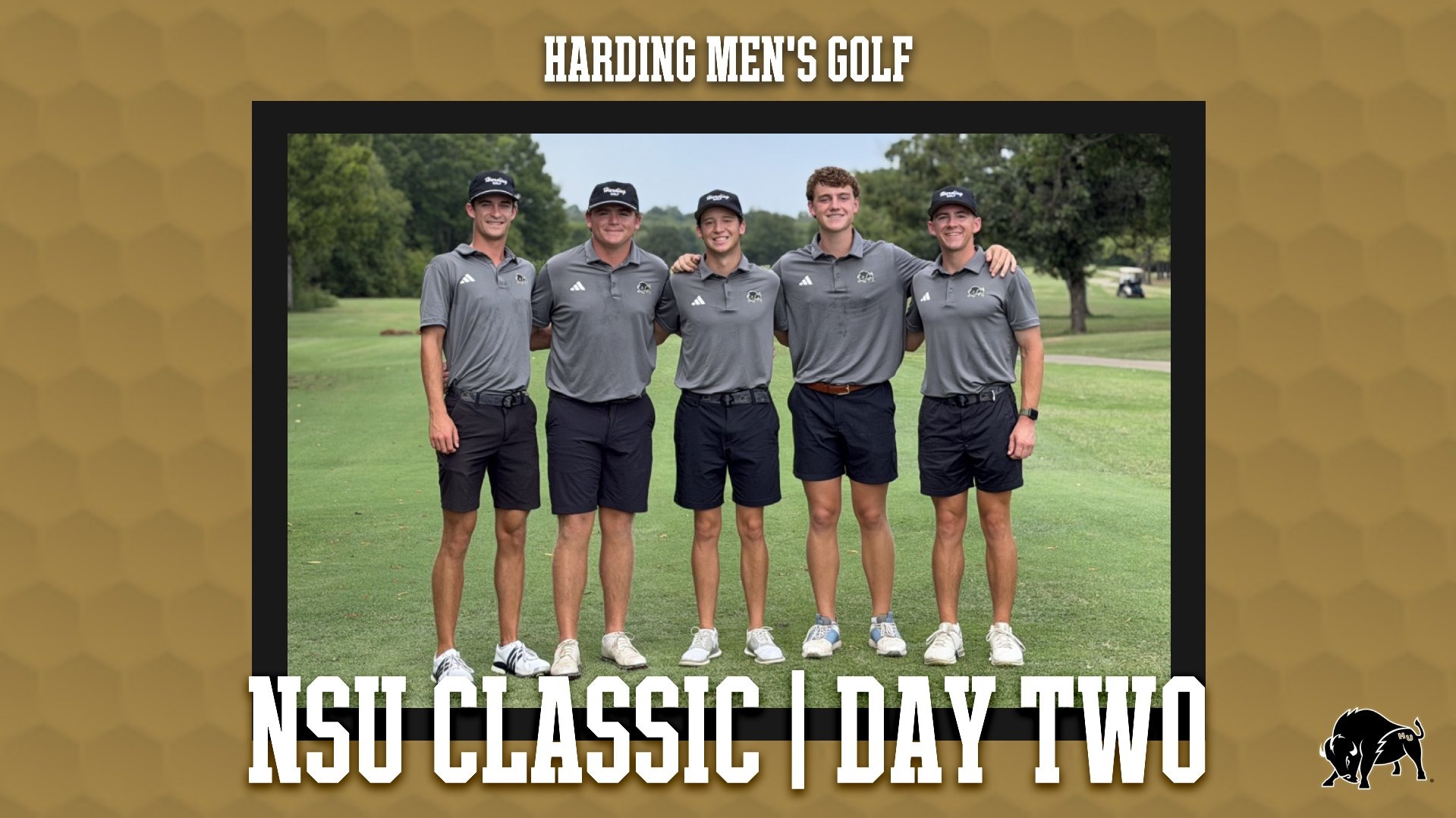 Harding Men's Golf