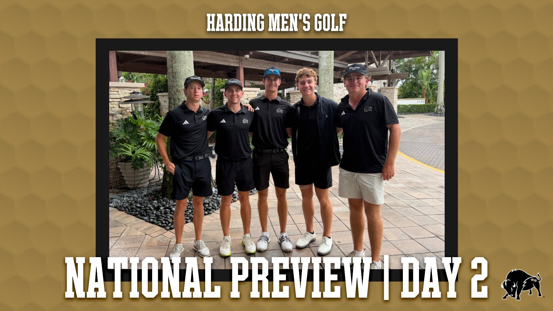 Harding Men's Golf