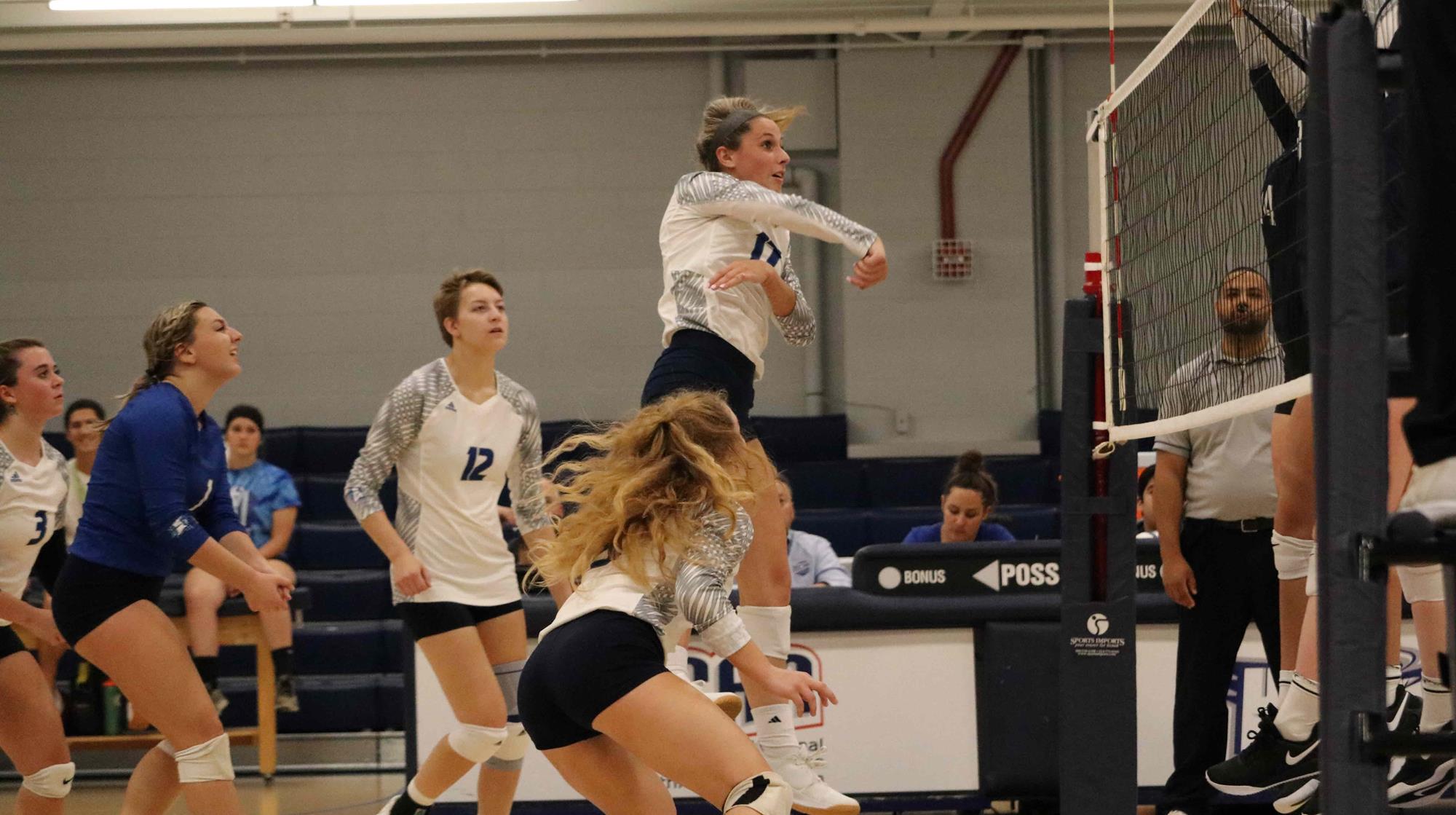 Amelia Reiter 2019 Women's Volleyball Harper College Athletics