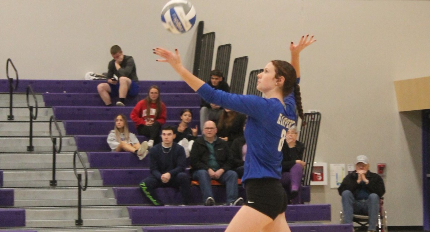 Abbie Greenberg 2022 Women's Volleyball Harper College Athletics