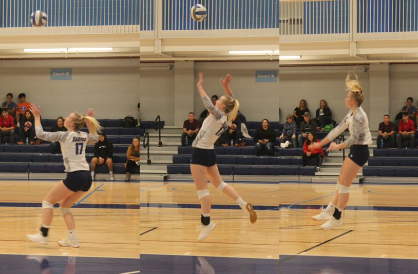 Harper Volleyball defeated Triton College Harper College Athletics