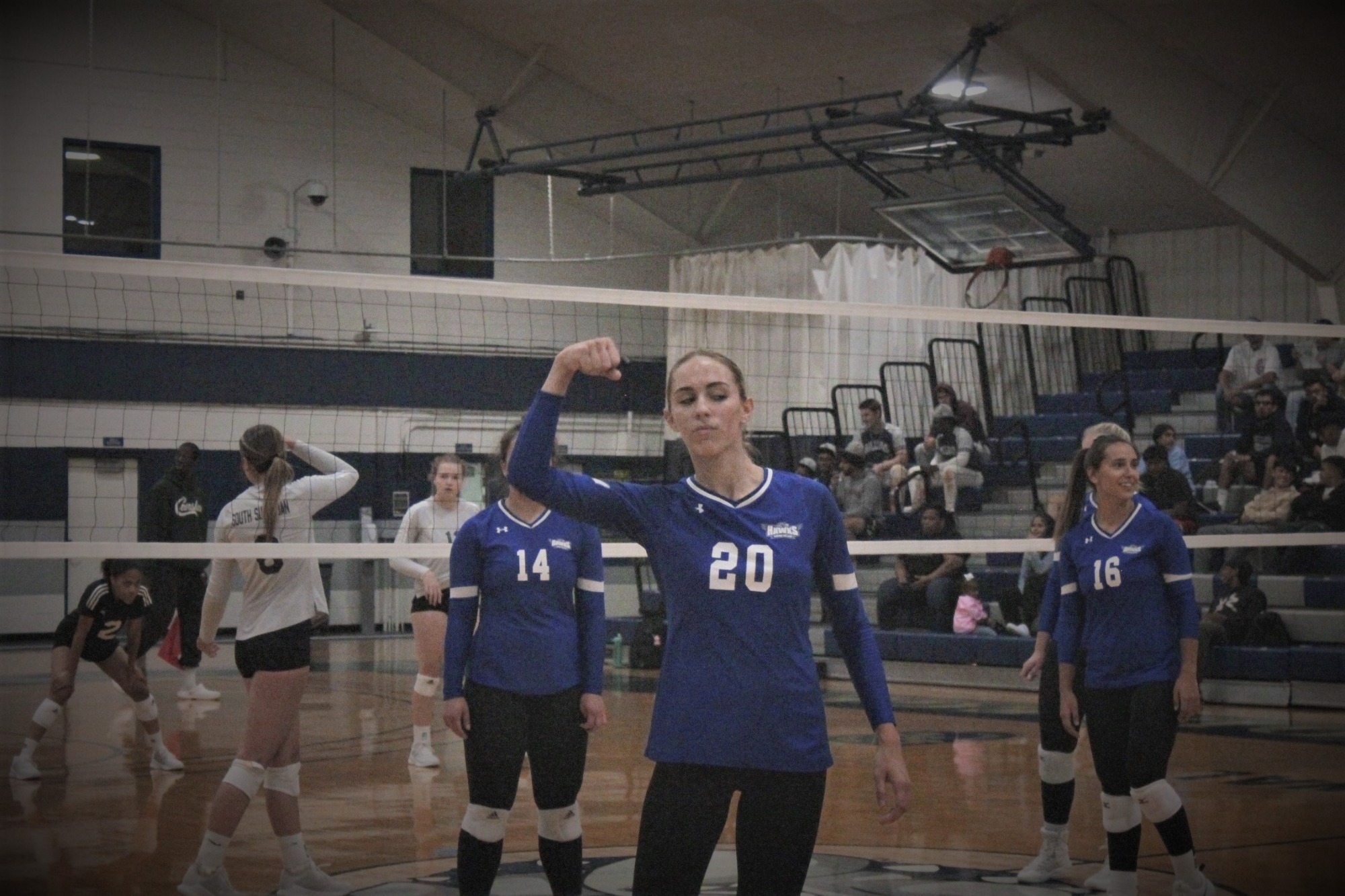 Taylor Knuth 2023 Women's Volleyball Harper College Athletics