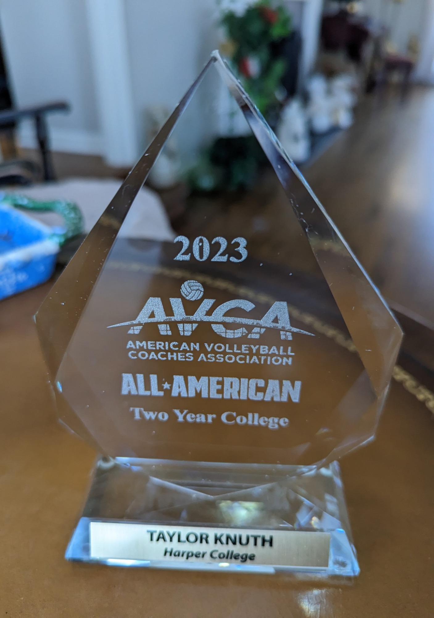 Taylor Knuth named AVCA Volleyball AllAmerican Harper College Athletics