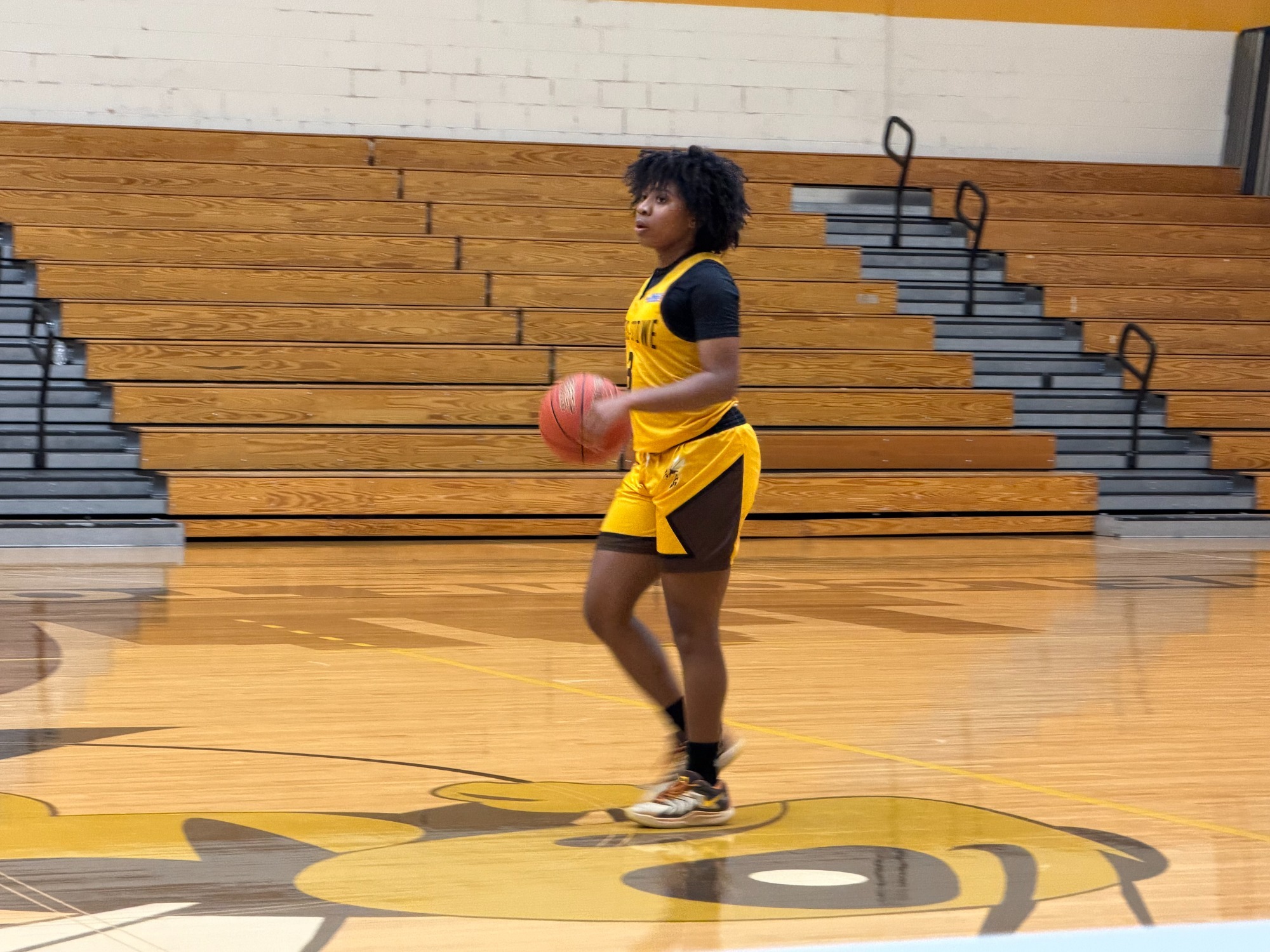 alivia v Hannibal-LaGrange