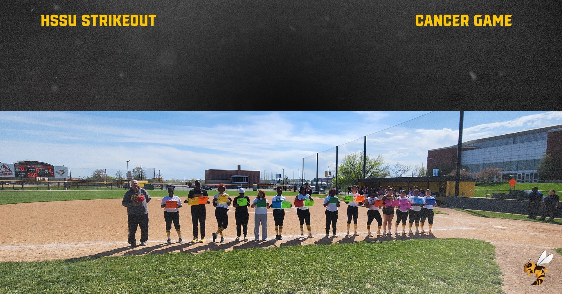 strikeout cancer softball