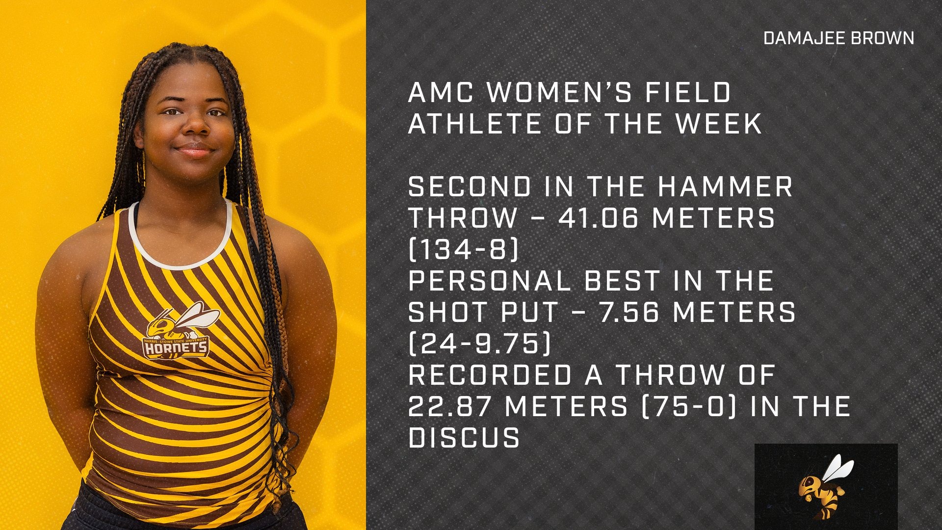 damajee 3x field athlete