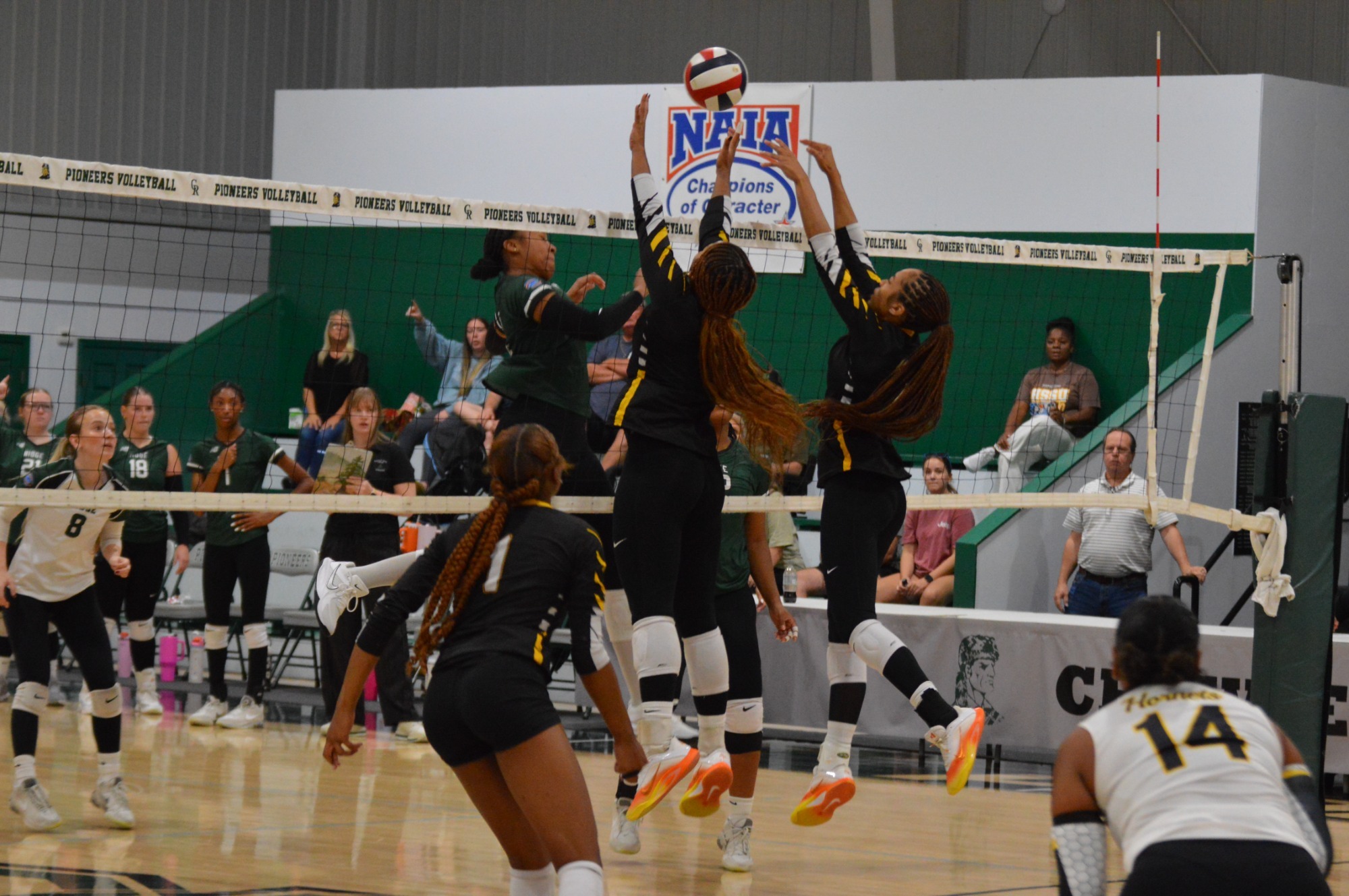 VB at CRC