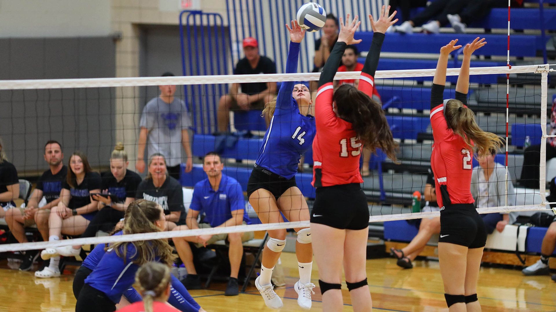 Colette Maloney 2022 Women's Volleyball Hartwick College Athletics