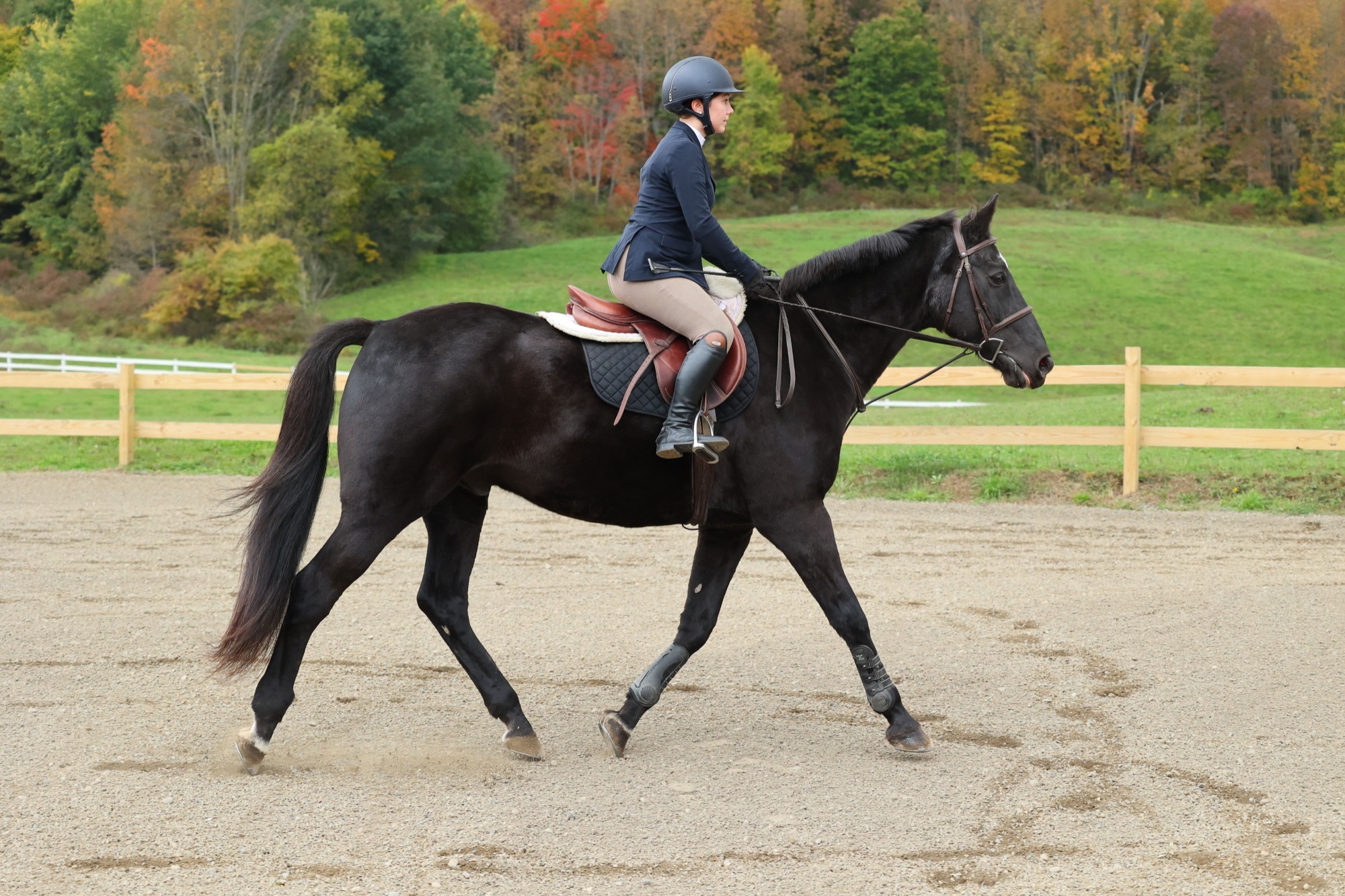 Nuria Santos - Women's Equestrian