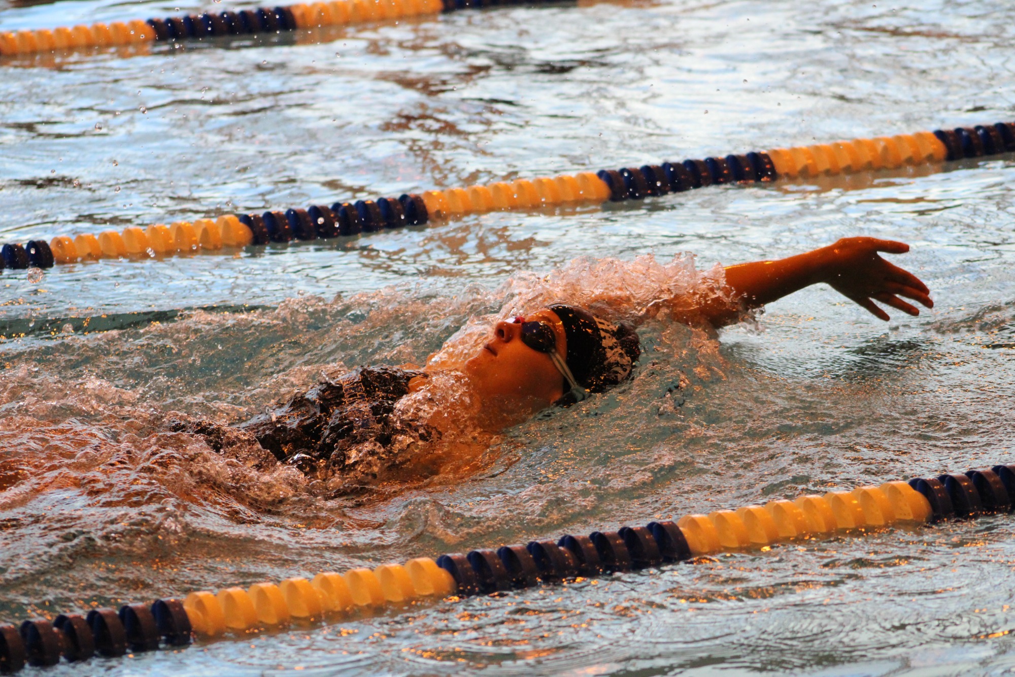 Kate Gucciardi- WSWIM