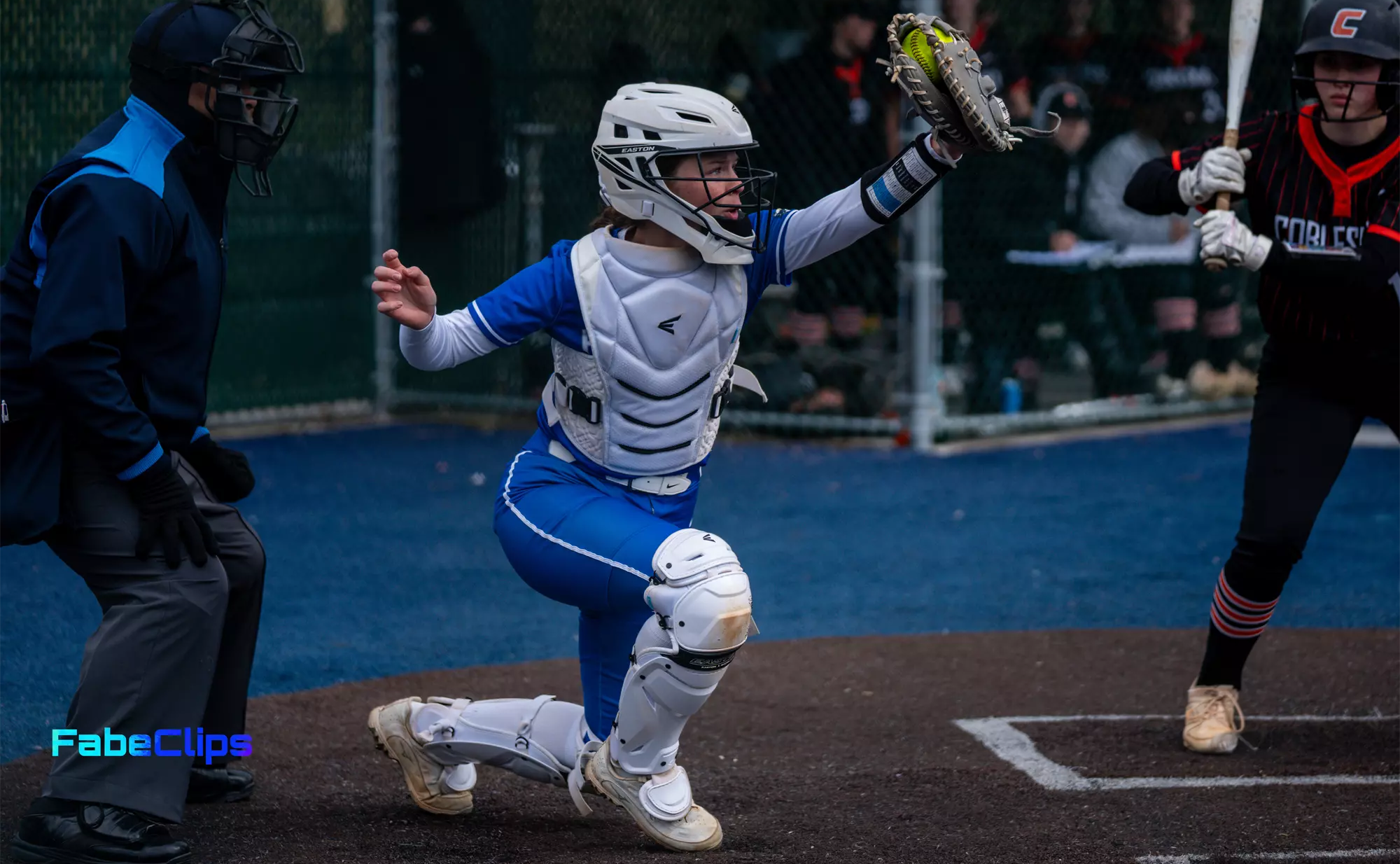 Sam Osborne - Softball