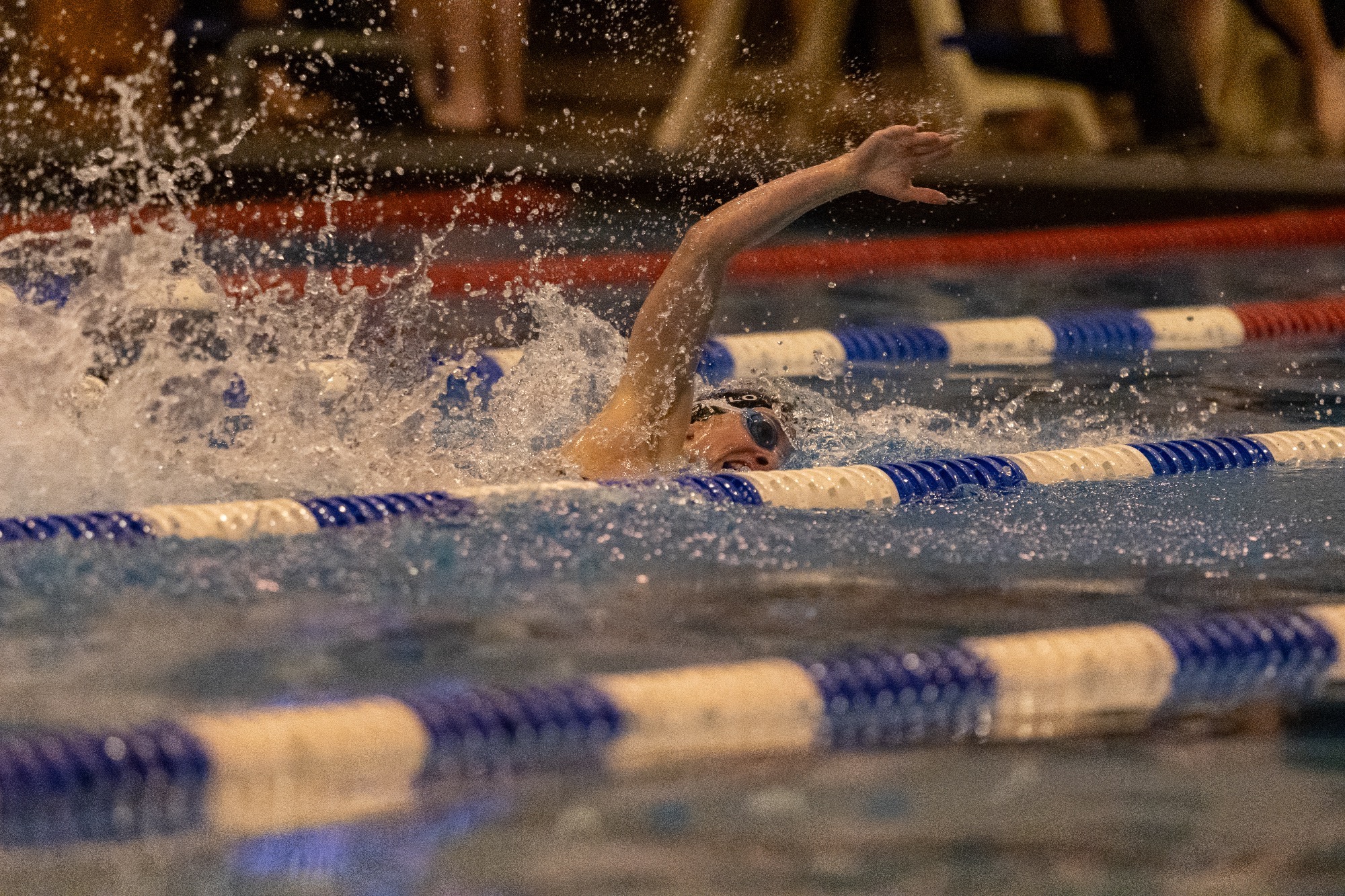 Dani DeCarlo - Women's Swim And Dive