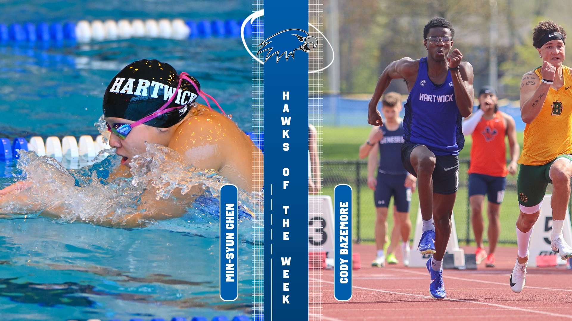 Hawks of the Week - 1.13