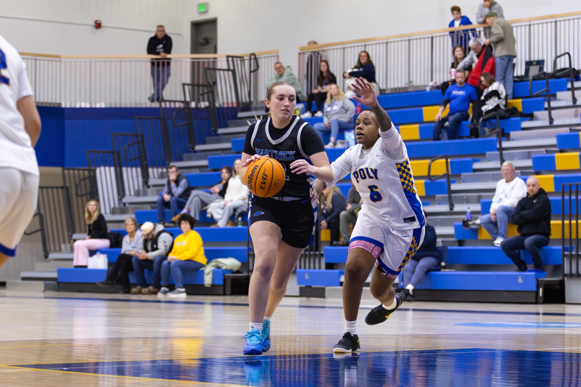 Natalie Vredenburgh - Women's Basketball