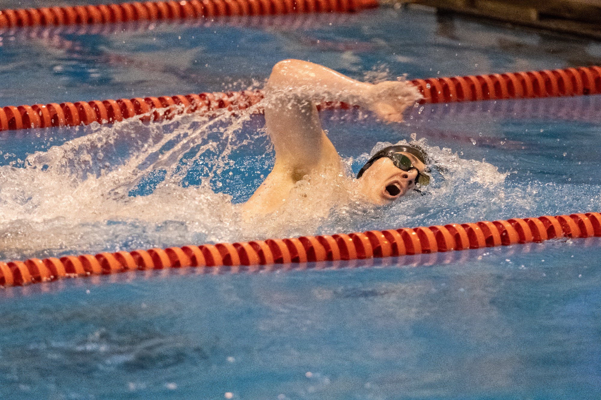 Sam Rosen - Men's Swim and Dive