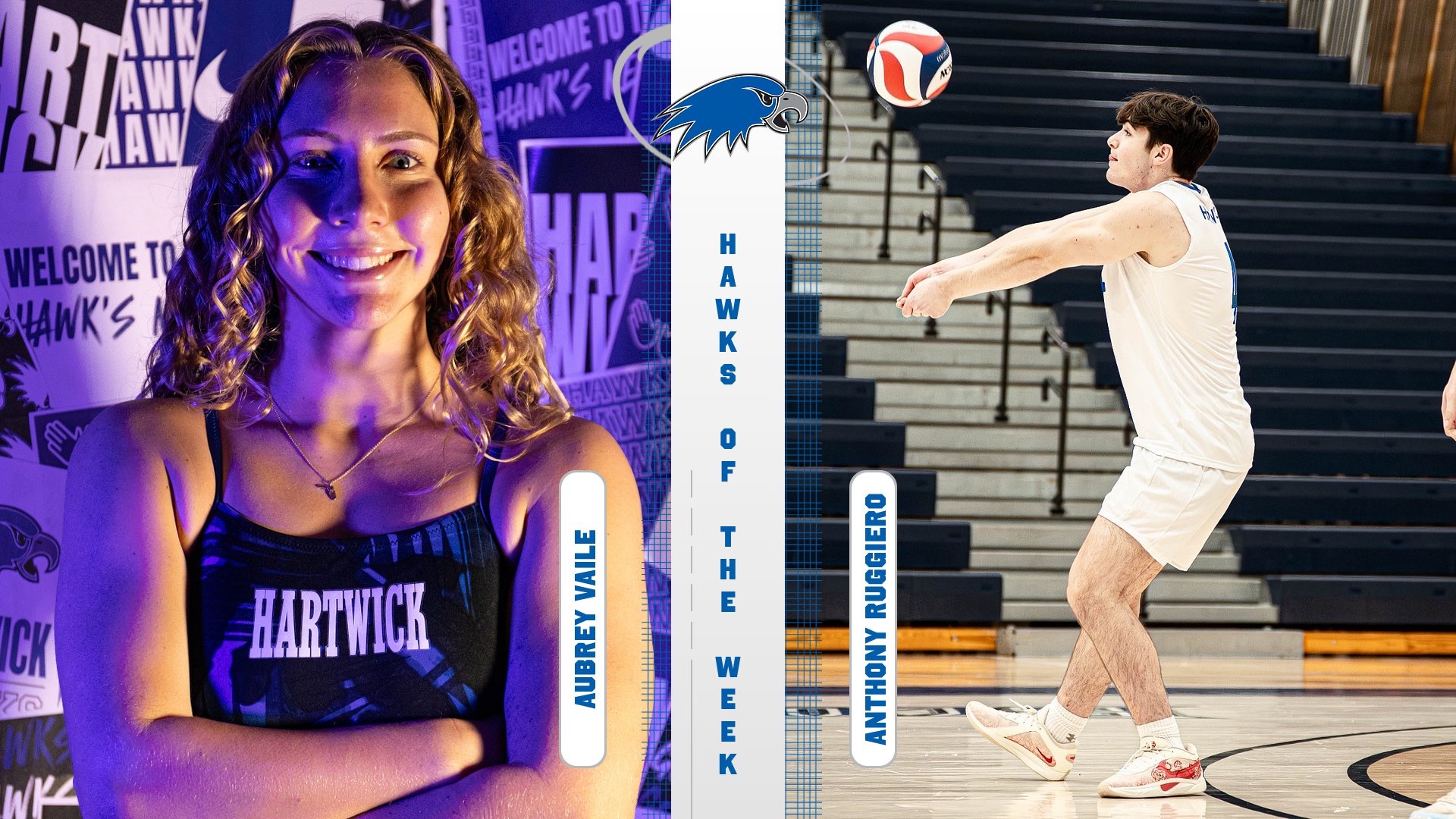 Hawks of the Week 1.27 (Vaile & Ruggiero)