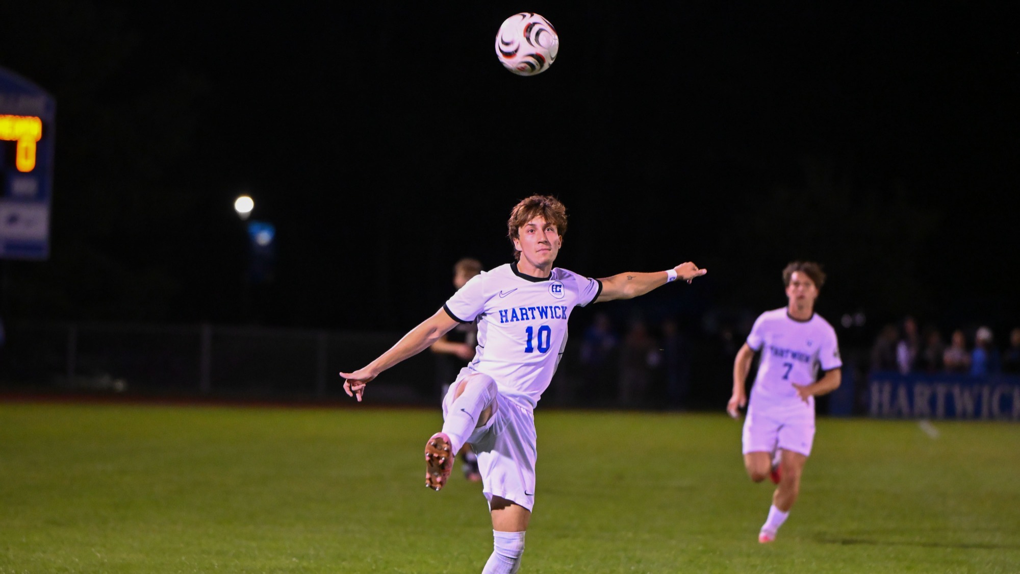 andres - vs elmira