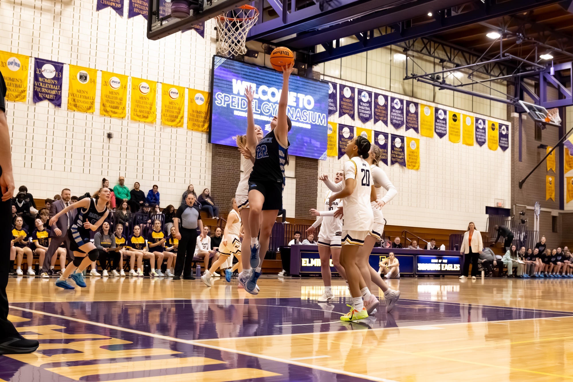 Macy Durkin - Women's Basketball