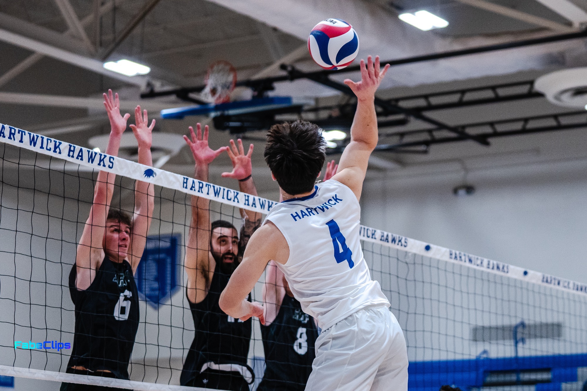 Anthony Ruggiero - Men's Volleyball