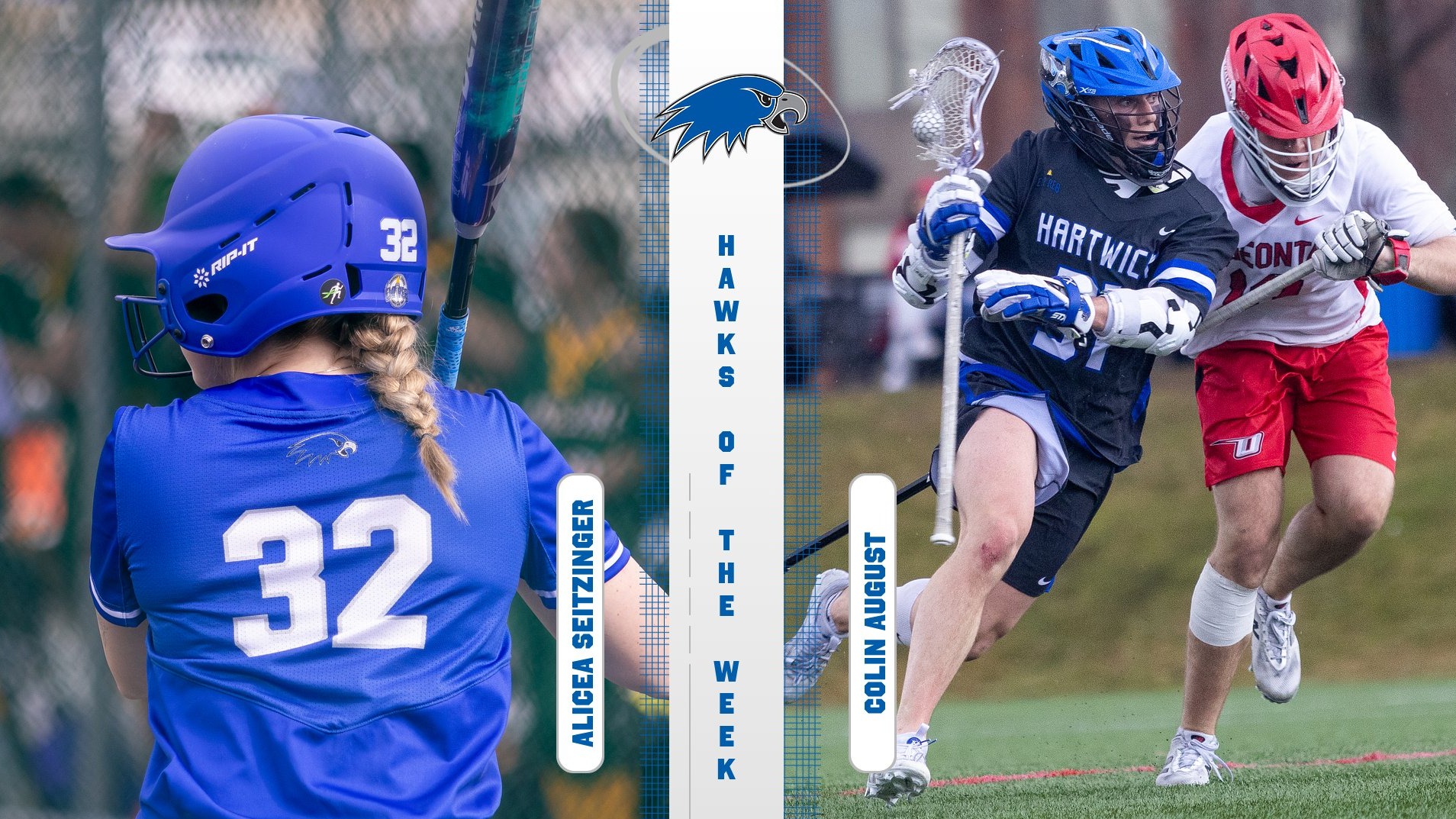 Hawks of the Week 3.17 (Seitzinger & August)