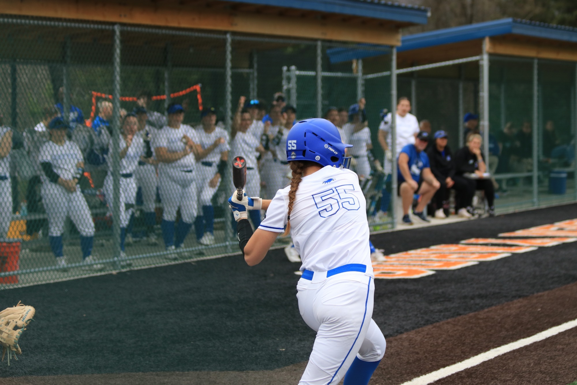 madi hoerman at bat