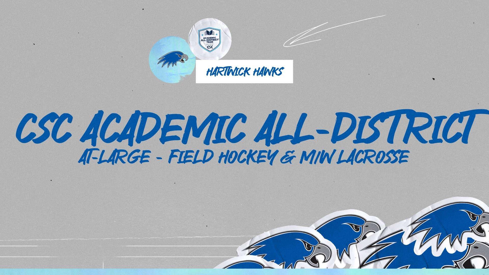 CSC At-Large District