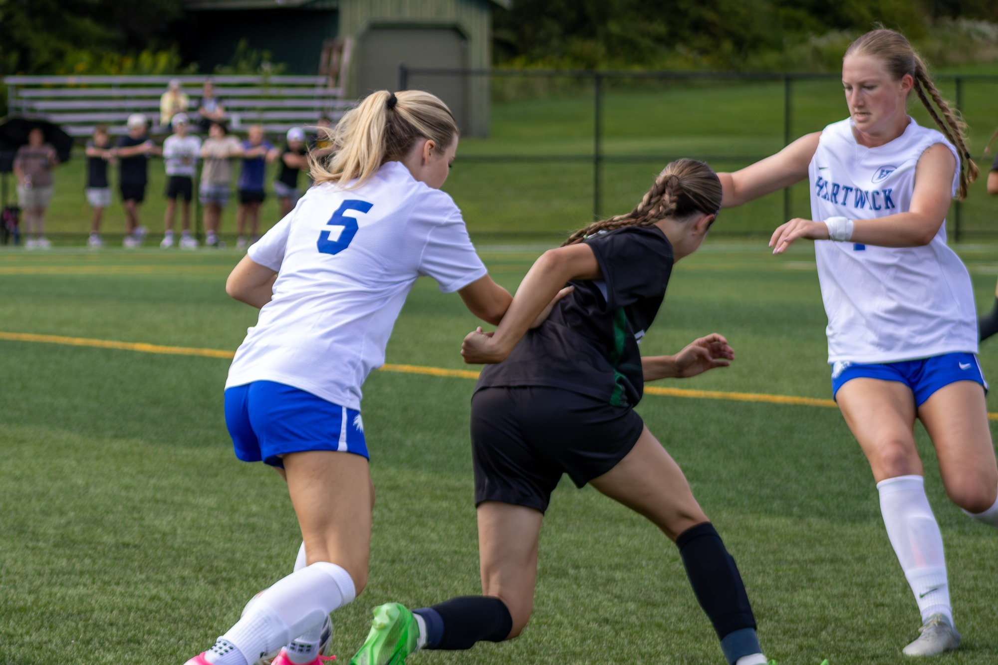 gabby curley used for houghton 9/12