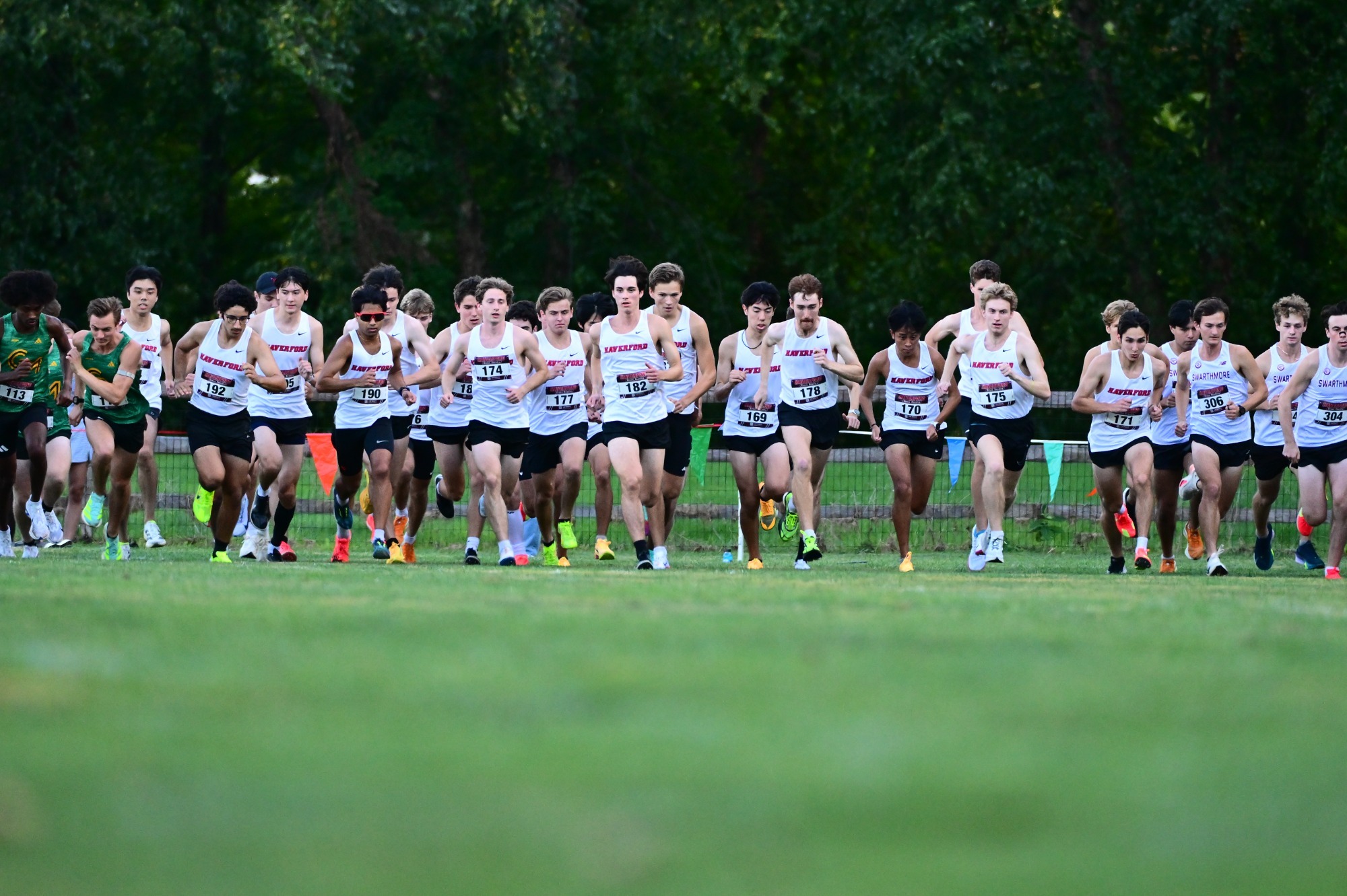 Men's XC National Votes