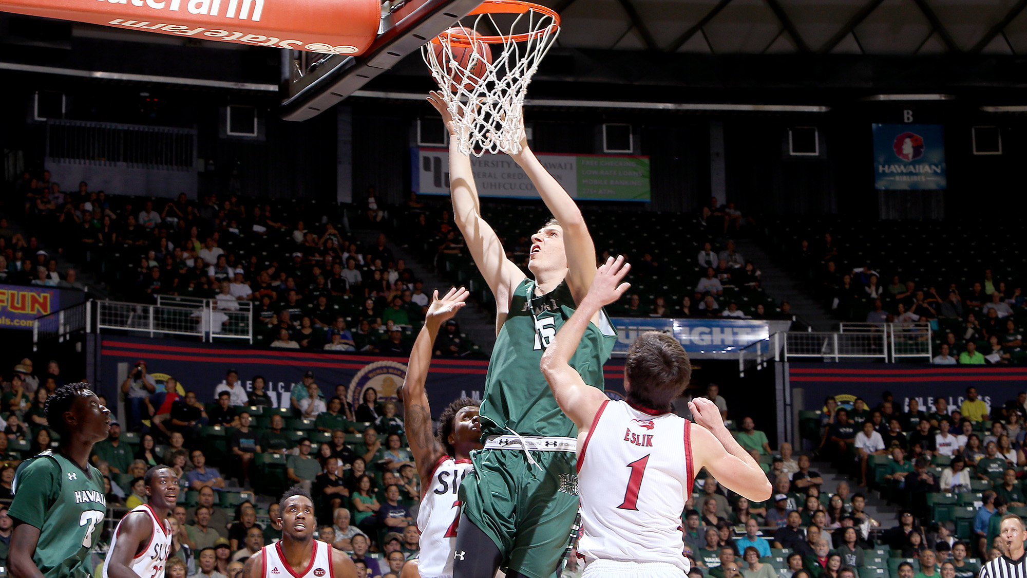 Ido Flaisher Men's Basketball University of Hawai'i at Manoa Athletics