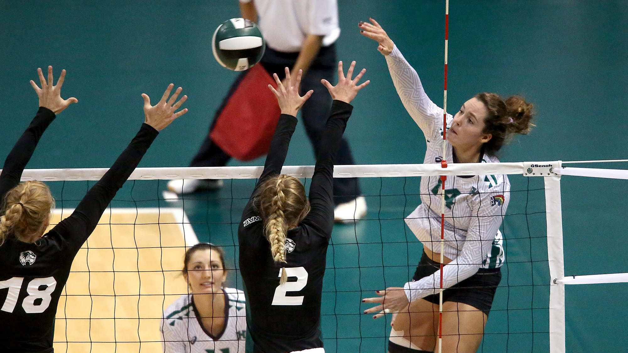 No. 14 Hawaii Sweeps Utah Valley To Open Outrigger Resorts Volleyball